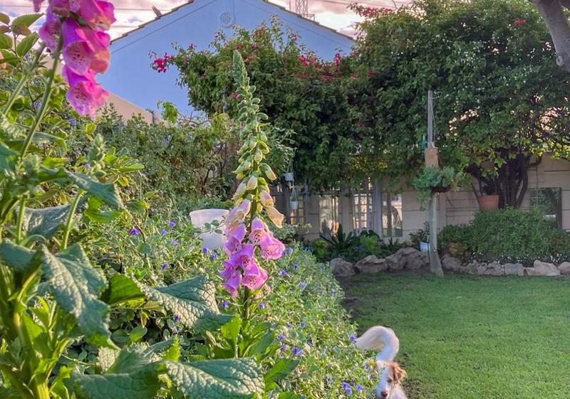 3 Bedroom Property for Sale in Victoria Park Western Cape